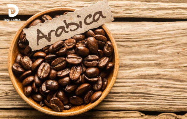 cà phê arabica